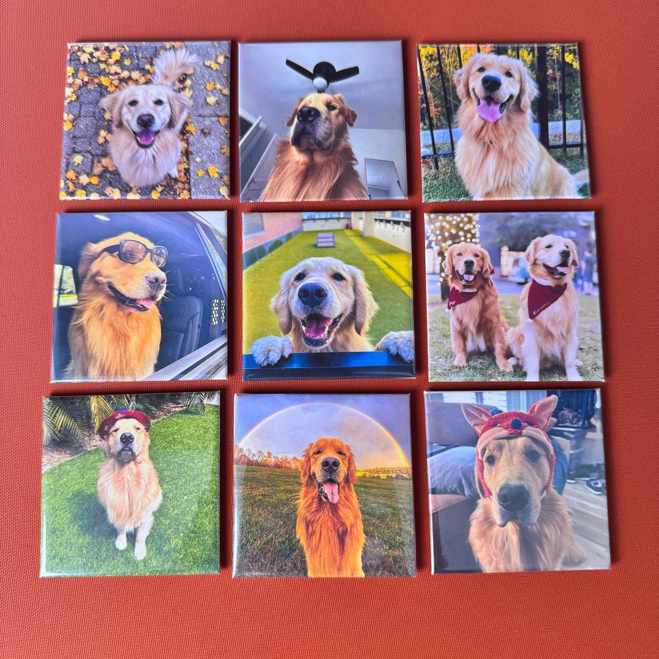 Personalized Pet Dog Cat Family Photo Fridge Magnets