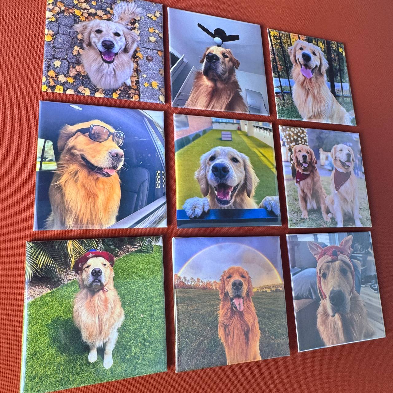 Personalized Pet Dog Cat Family Photo Fridge Magnets