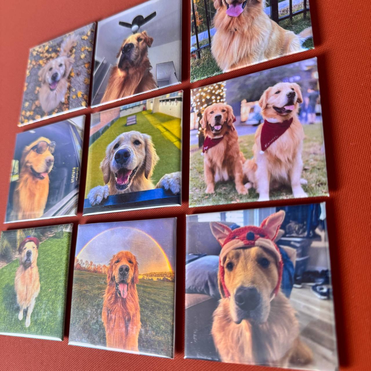 Personalized Pet Dog Cat Family Photo Fridge Magnets