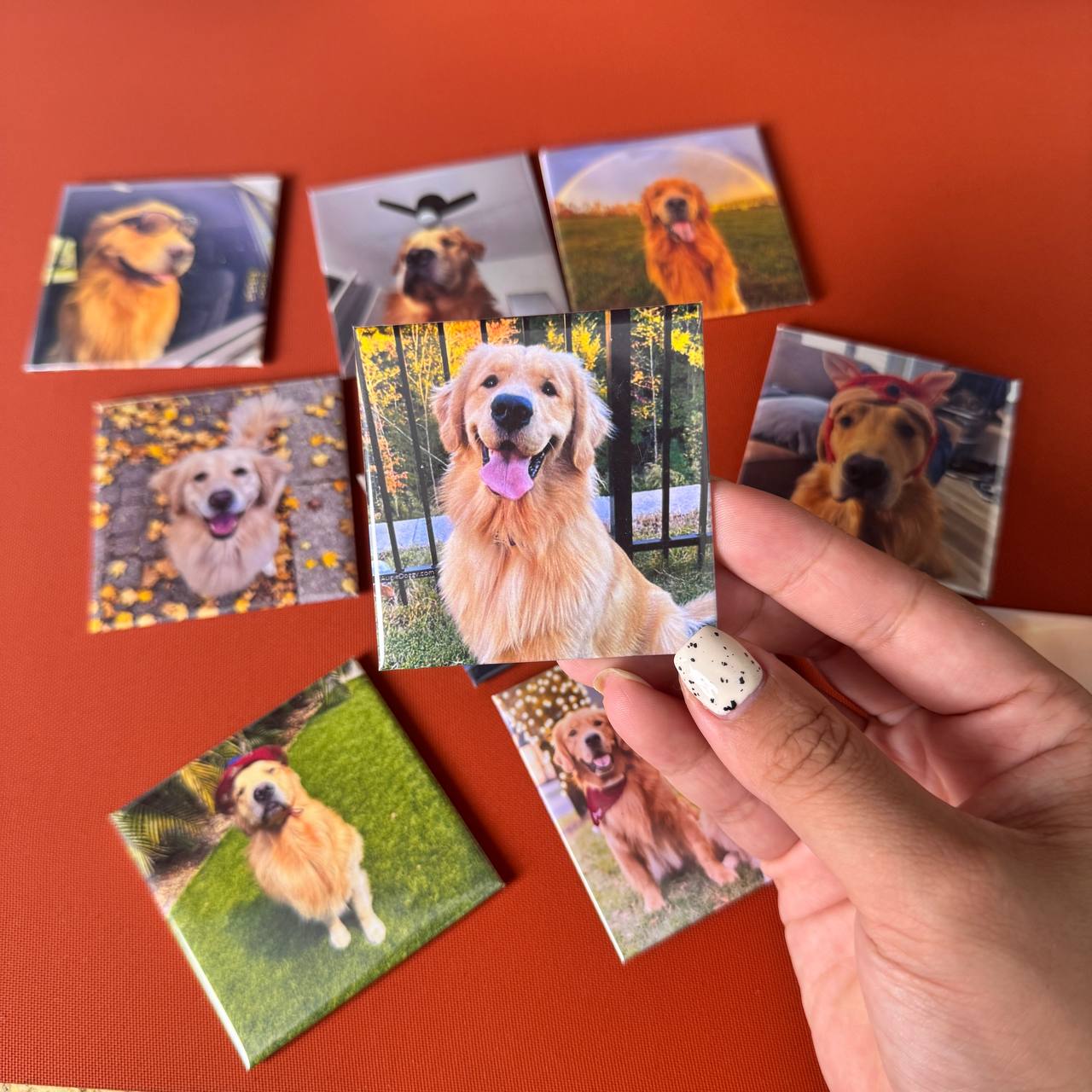 Personalized Pet Dog Cat Family Photo Fridge Magnets