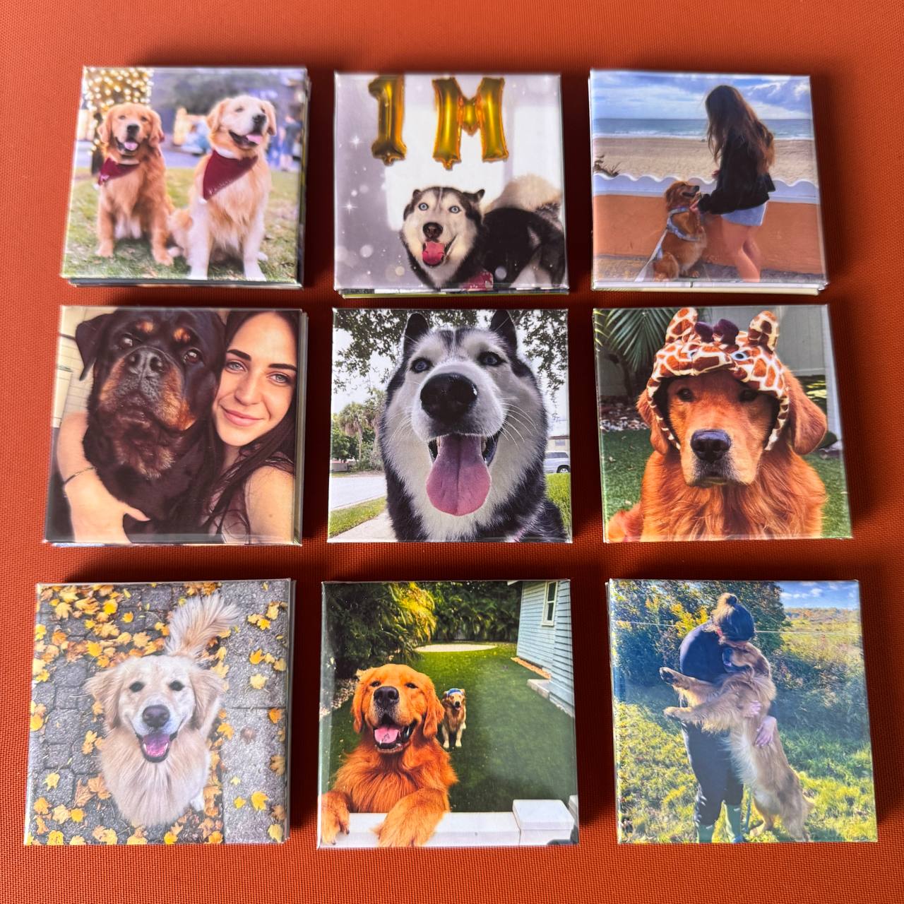 Personalized Pet Dog Cat Family Photo Fridge Magnets
